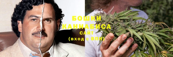 молекула духа Алексин
