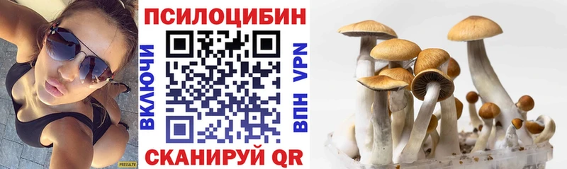 Псилоцибиновые грибы Psilocybine cubensis цена Черноголовка